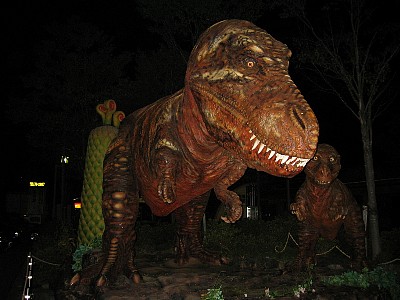 4906.jpg